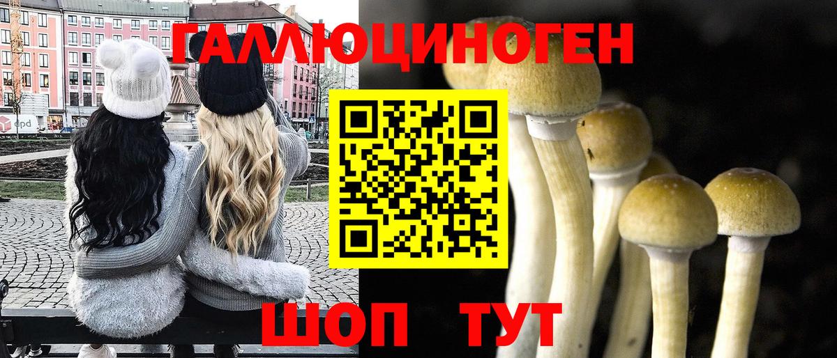 Псилоцибиновые грибы мицелий Ессентуки