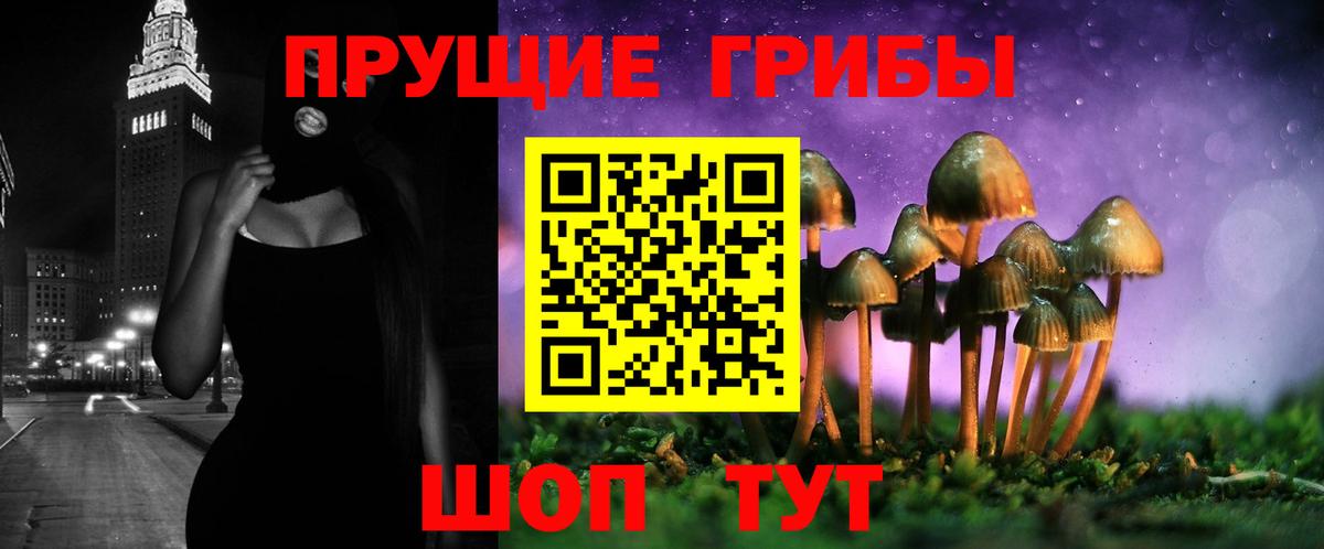 Галлюциногенные грибы Magic Shrooms  Вход с VPN  Ессентуки 