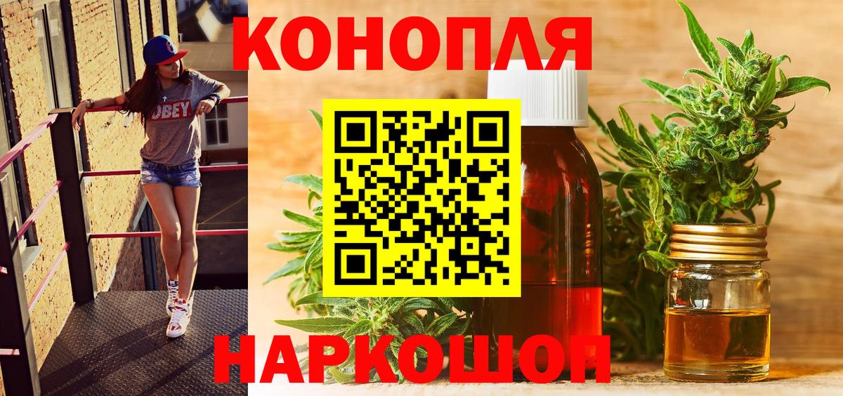 Каннабис ГИДРОПОН Ессентуки